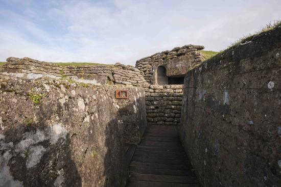 Royal Museum of the Armed Forces and of Military History